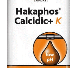 Hakaphos calcidic