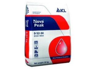 Nova Peak ICL