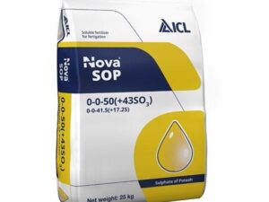 Nova SOP ICL