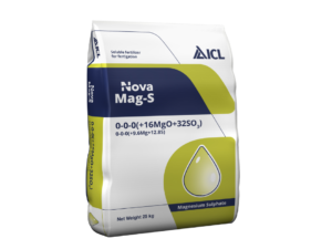 Nova Mag‑S ICL