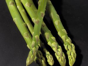 Asperge Placosesp