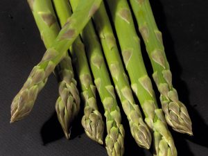Asperge Dariana