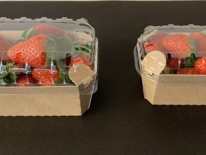 Barquette carton avec couvercle