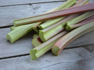 Rhubarbe Goliath