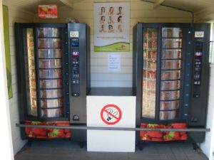 Plateaux tournants