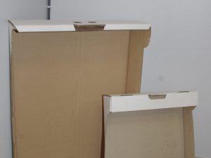 Plateaux Carton