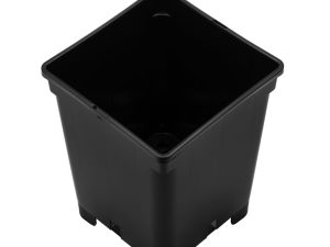 Pot 7L-Beekenkamp