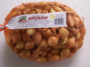Oignon Sturon