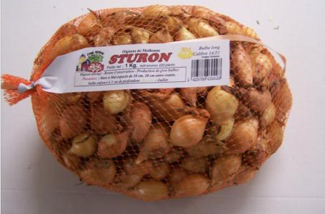 Oignon Sturon