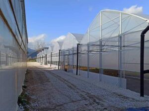 Multimed – Europrogress