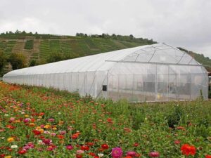 Tunnel Easyart – Europrogress
