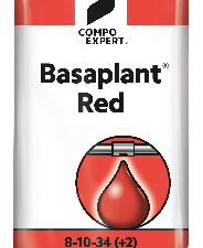 Basaplant Red COMPO EXPERT