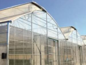 Pignons en polycarbonate alvéolé ou ondulé