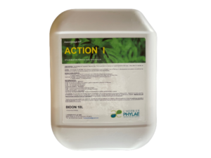 Action I L'HERBIER PHYLAE
