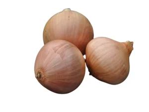 Oignon Keravel