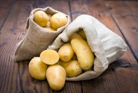 Pomme de terre Allians