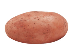 Pomme de terre Alouette
