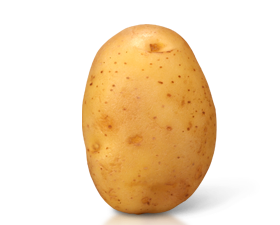 Pomme de terre Artemis