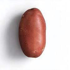Pomme de terre Cherie (rouge)
