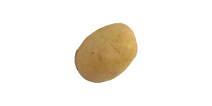 Pomme de terre Nazca